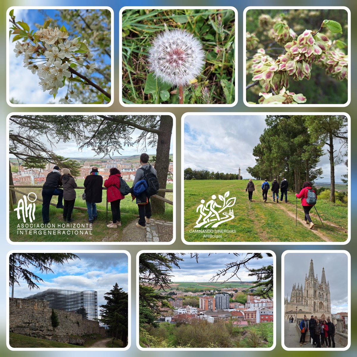 ahiburgos's tweet photo. 🌿🚶‍♂️ Caminando Sinergias AHIBurgos – Abril 2026 | Instantes Compartidos ✨🌸
Dos días, un mismo camino… naturaleza, calma y conexión en buena compañía. 🌞💚
Conversaciones que fluyen, vistas que inspiran y momentos que dejan huella.

👉 Más info: https://t.co/4UvMfszxrg https://t.co/cz9oEmrvfa