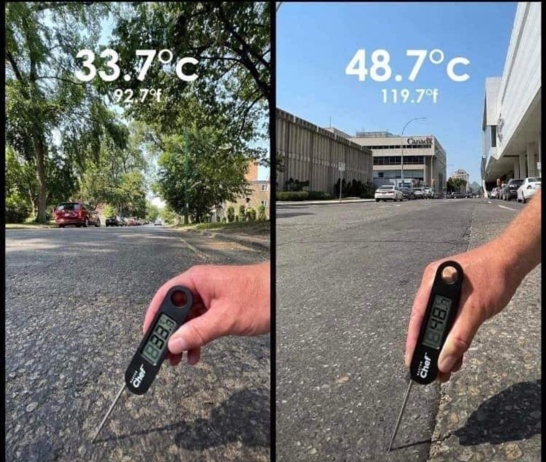 Ndman 👑 tweet media