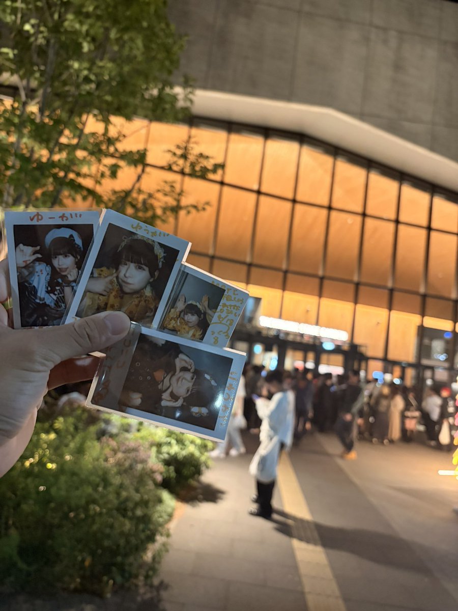 ゆうが！ tweet media