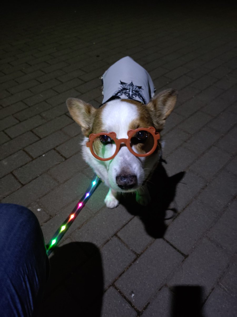 🇬🇧🐶LEO元愛犬❤️Riku今愛犬🐶 tweet media