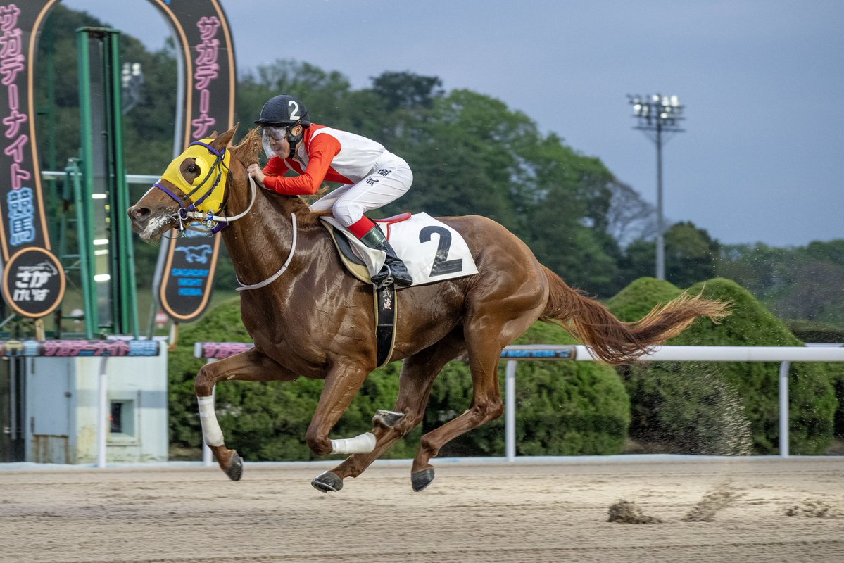 さがけいば（佐賀競馬場） tweet media