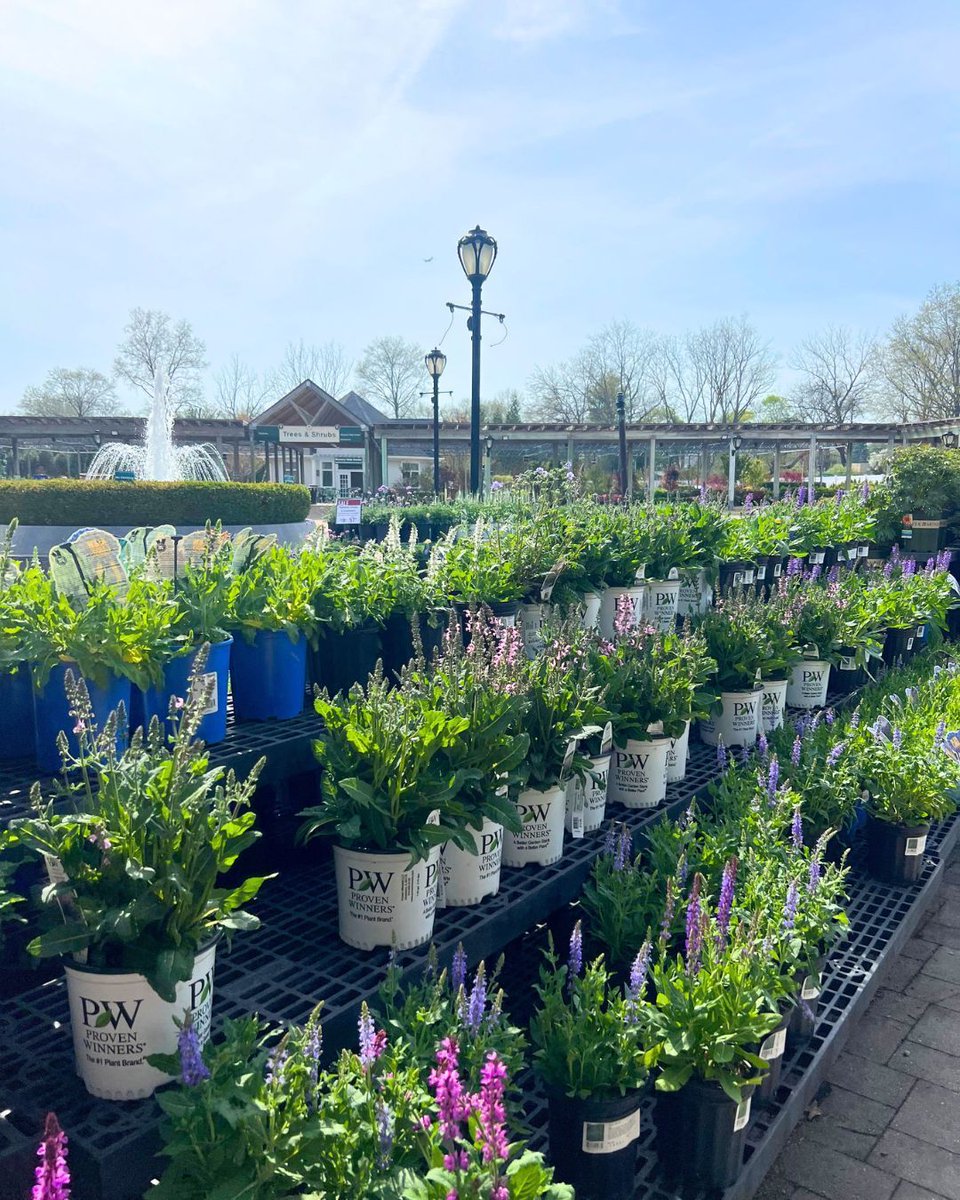 Hicks Nurseries tweet media