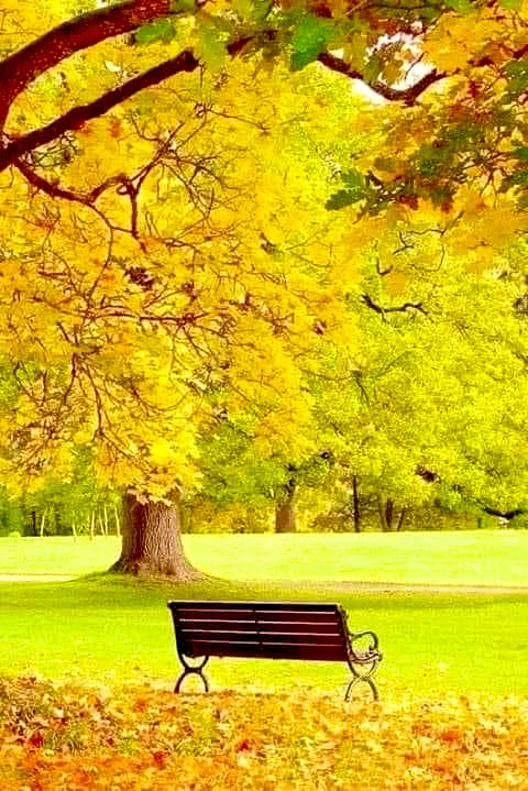 omhazem1956's tweet photo. يزيد احترام الناس لك .. 
كلما كنت على طبيعتك.. 
وكلما ابتعدت عنها زاد نفورهم منك... 
التصنع والتقليد قشور .. 
لا تلبث أن تزول سريعاً.!
. https://t.co/1fnE91SjUl