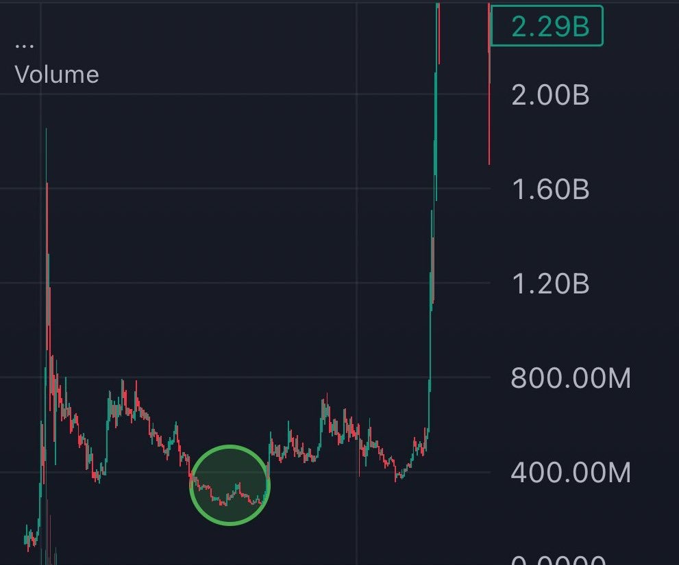 slayphin 📈™ tweet media