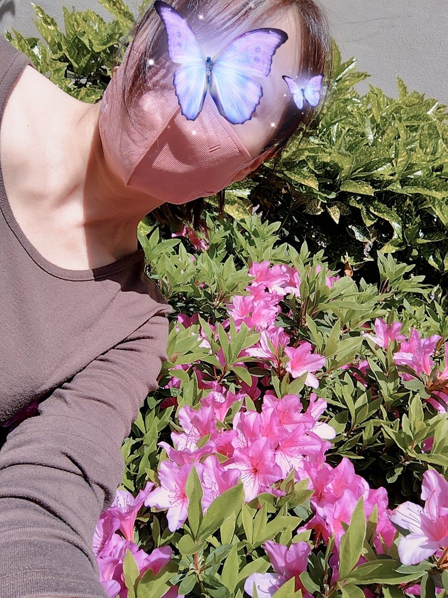 螢　あずさ姫　ミスヘブン2025 tweet media