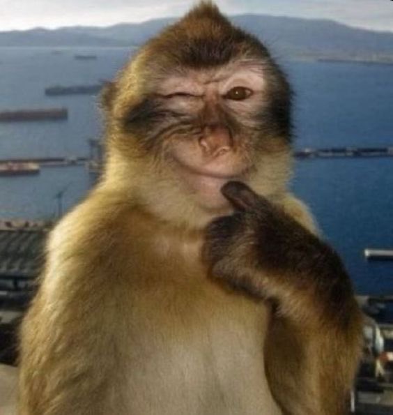 ถ่ายผมเลยครับพี่ ผมแอ๊บสะแบ๊วรอแล้ว