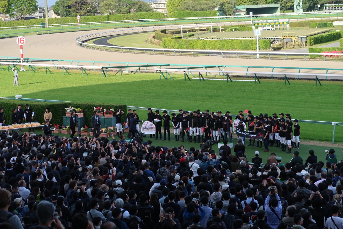 でぃしくん tweet media