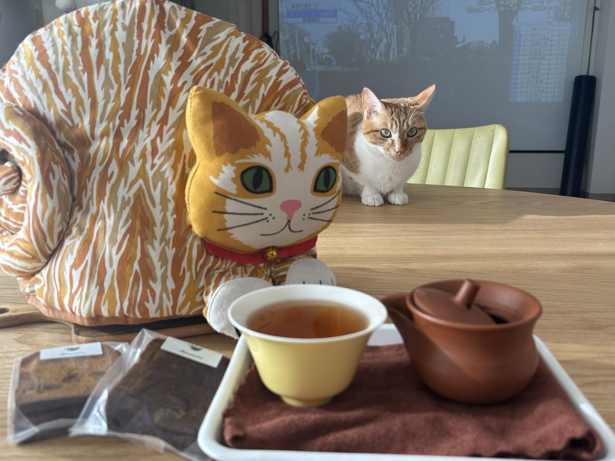 ひよこ tweet media