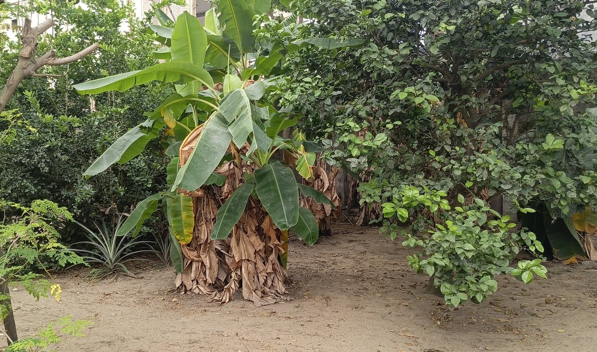 𝗪3𝗣𝗥𝗧 tweet media