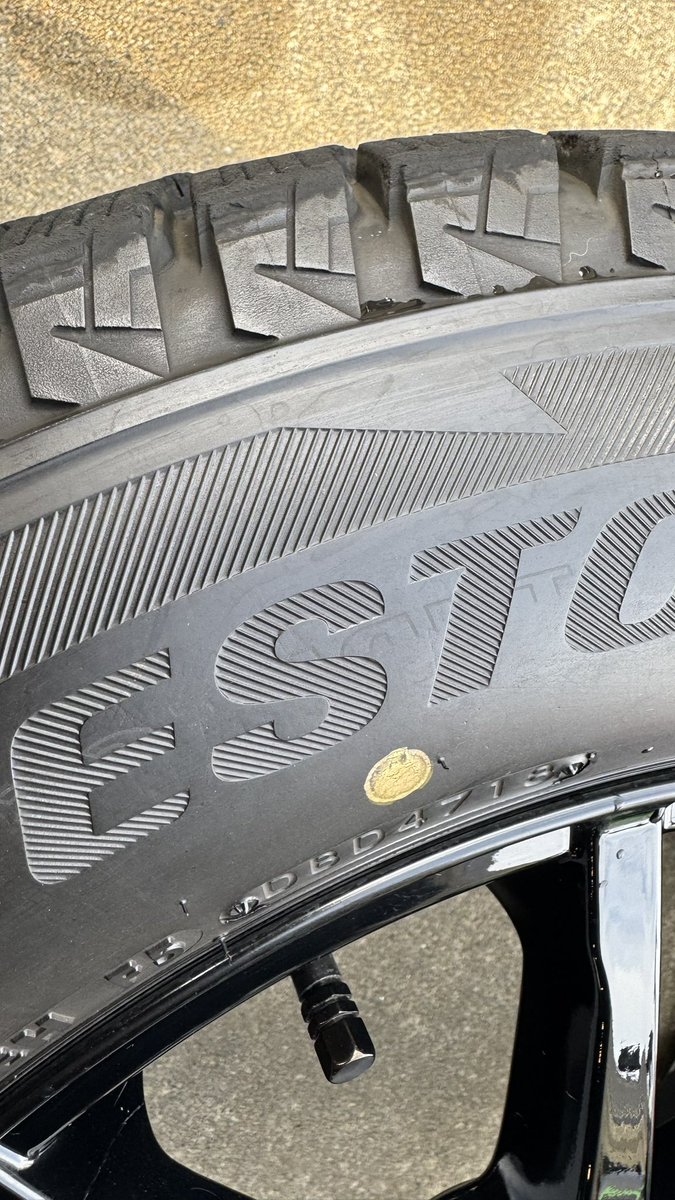 TSUMA™ tweet media