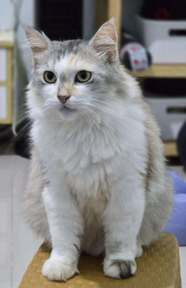 kak aca🍉 tweet media