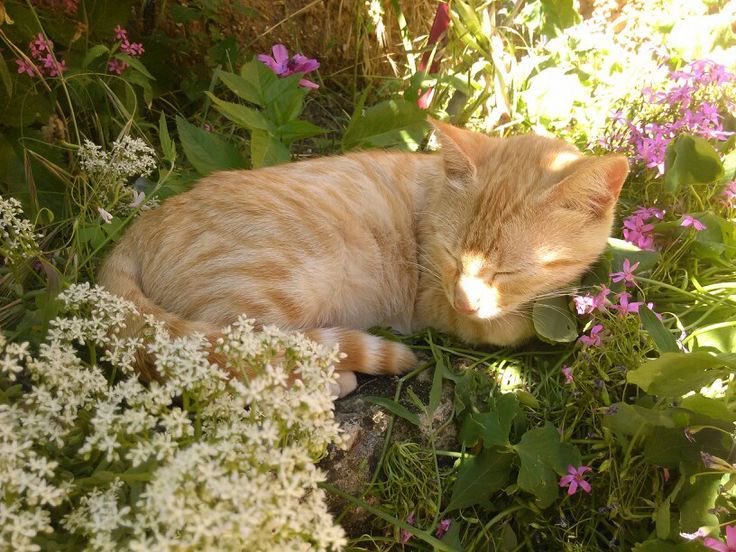 𝑎𝑒𝑠𝑡ℎ𝑒𝑡𝑖𝑐 𝑎𝑟𝑡 tweet media