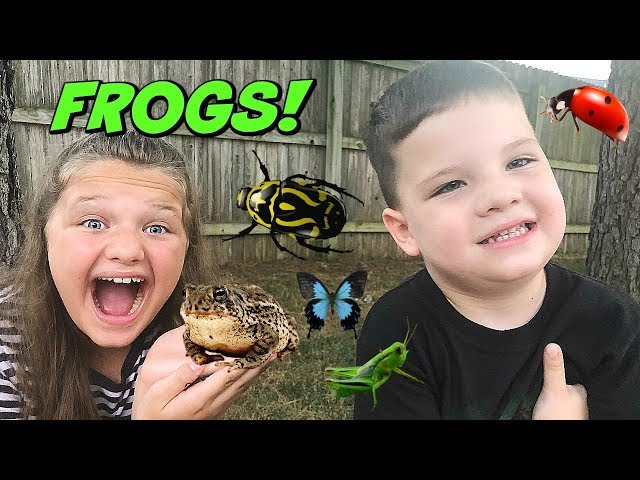 Kids love baby frogs 🐸🧒
@babyfrog 

They can jump and dance when we are trying to sleep... 😂

#Frog #Memes #crypto