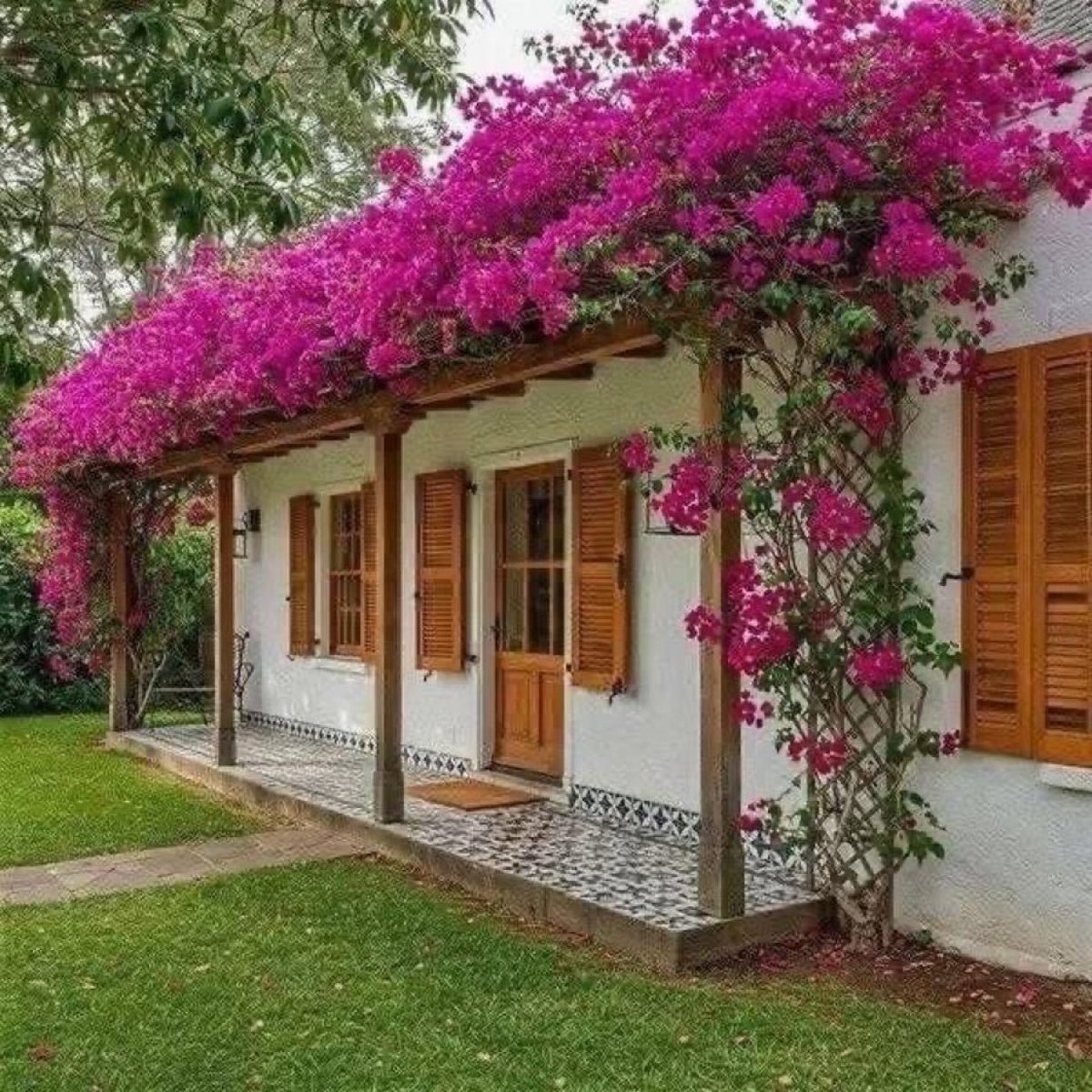 Sıradışı Dekorlar tweet media