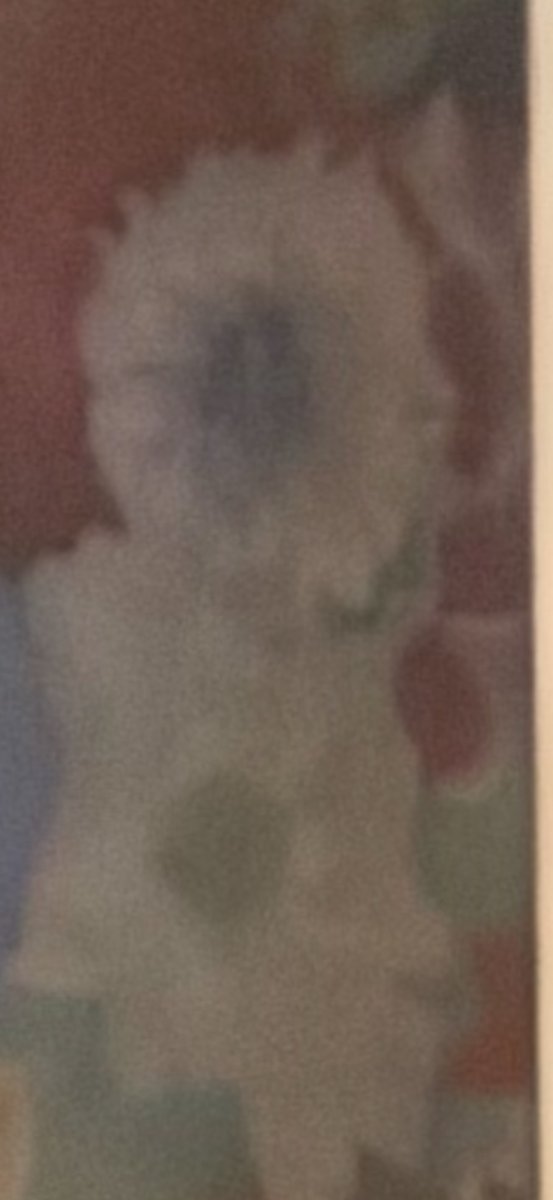 Meghan Katherine tweet media