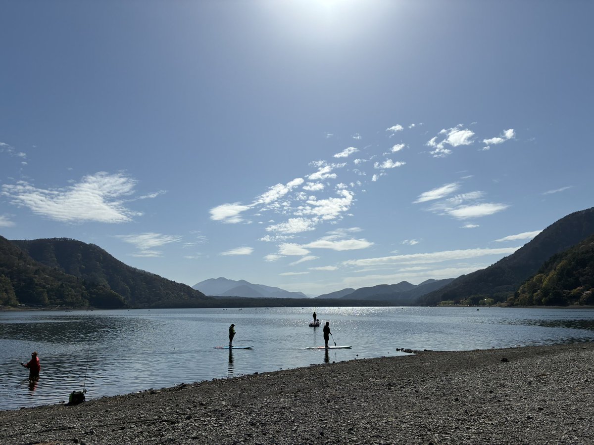 野上ぁゃか tweet media