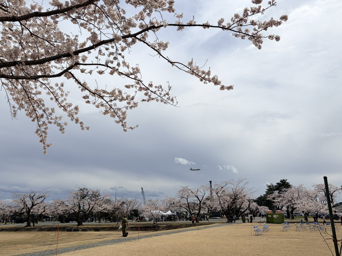 かりぶち ひかり tweet media