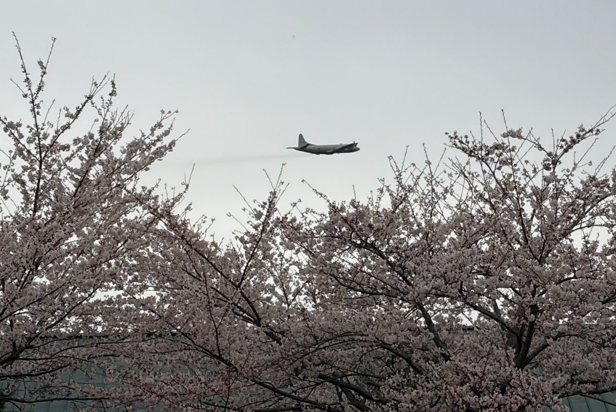 かりぶち ひかり tweet media