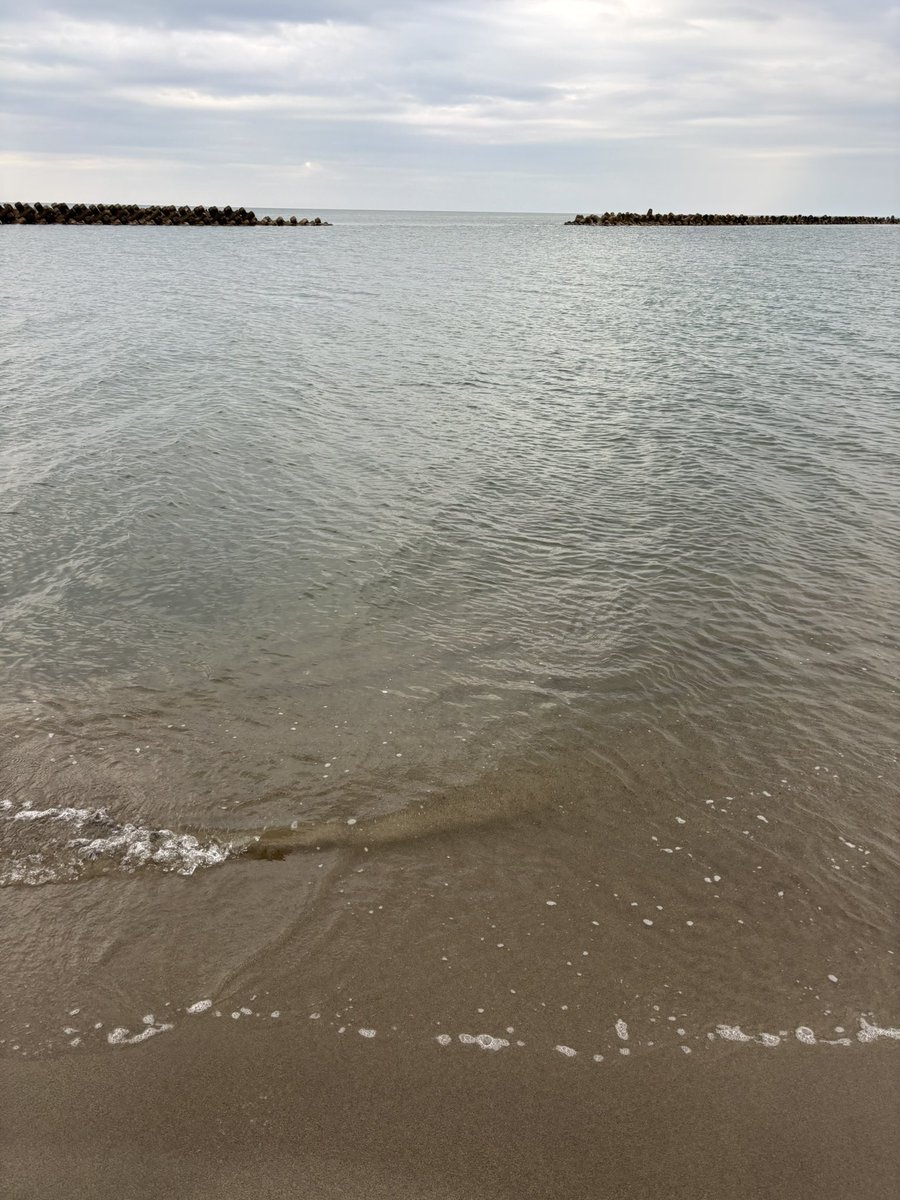 たなかごめす tweet media