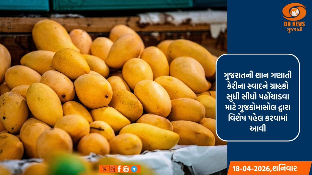 DDNewsGujarati's tweet photo. ગુજકોમાસોલ દ્વારા 'મેંગો ફેસ્ટિવલ'નો પ્રારંભ: ગ્રાહકોને મળશે ઉચ્ચ ગુણવત્તાયુક્ત કેરી

https://t.co/TMxz6WenKt

#MangoFestival #Gujcomasol #Gujarat #Kesar #FarmerSupport https://t.co/Peg8qqC5XB