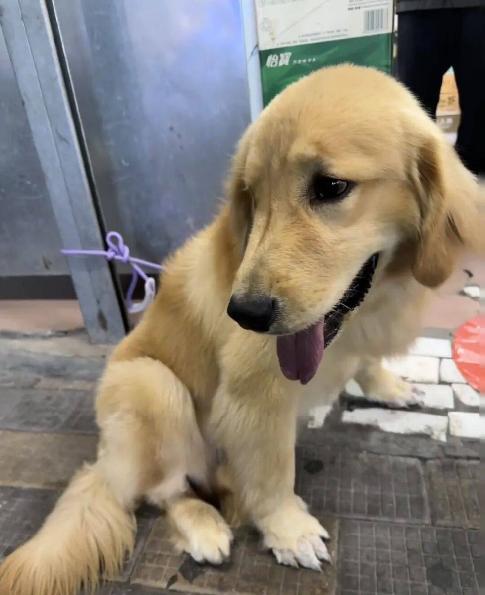 Kristina tweet media