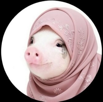 Small Balls tweet media