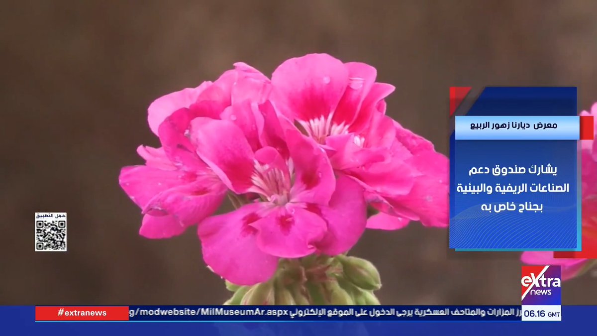 جناح خاص لصندوق دعم الصناعات الريفية والبيئية ضمن فعاليات معرض ديارنا زهور الربيع #هذا_الصباح 