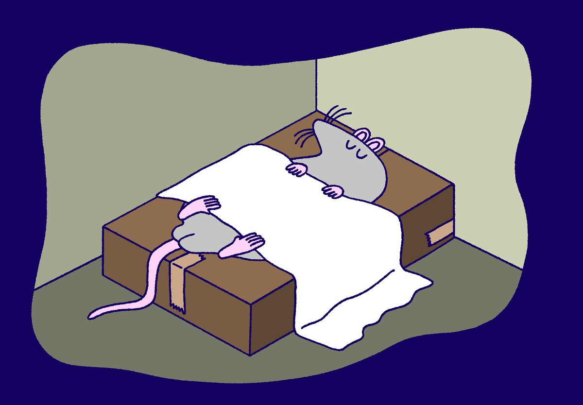 ドブ美(サブ) tweet media