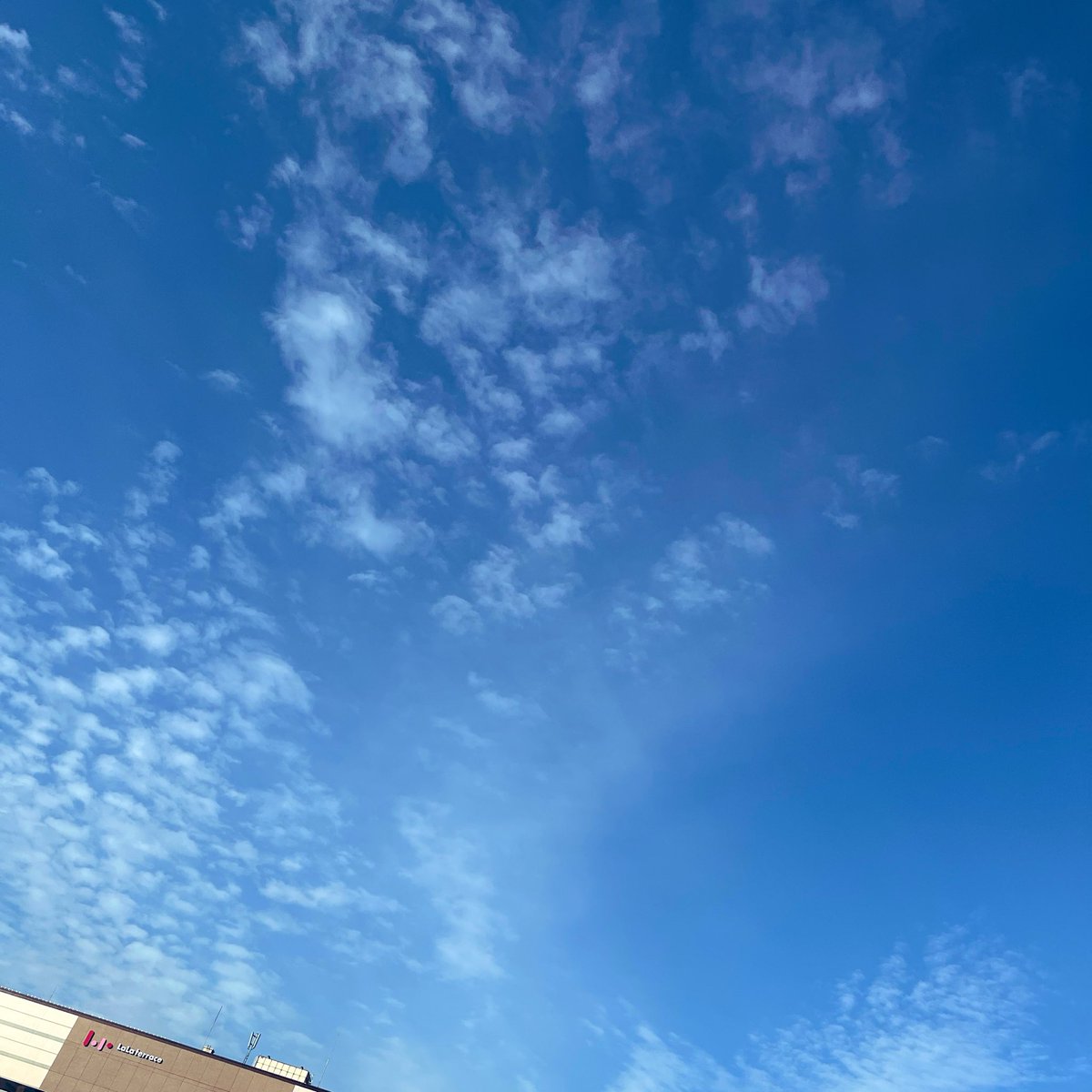 スダ（腕）小原涼宣伝部👉👈☀️ tweet media