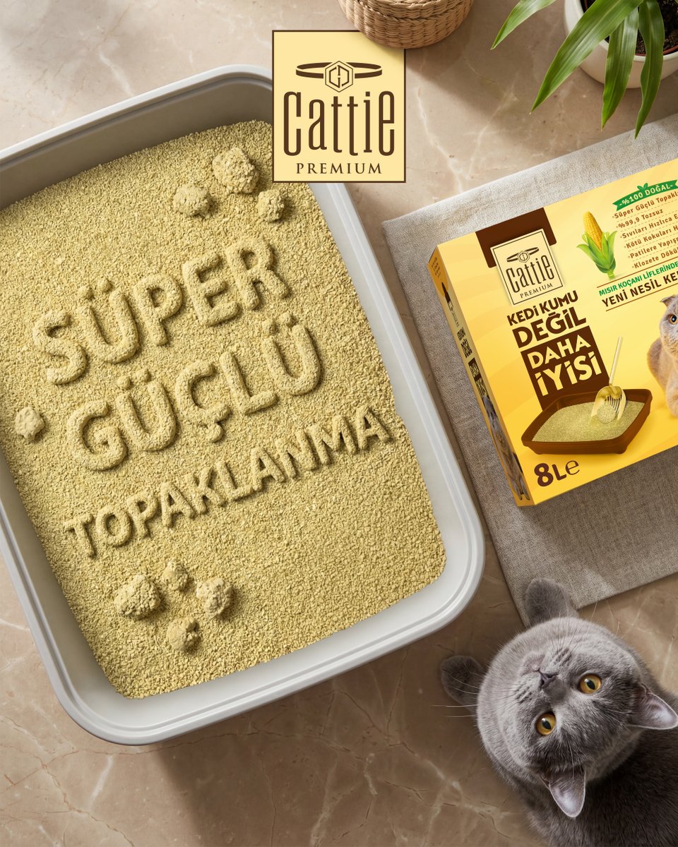Cattie_tr's tweet photo. Doğru seçimler İz bırakır. 🐱🌽

The right choices leave a mark.

#Cattie #KeyifçiKediler #KediBakımı #MısırKoçanı #KediKumu #NaturalCatLitter #PetCare https://t.co/UFVD4Eel0V