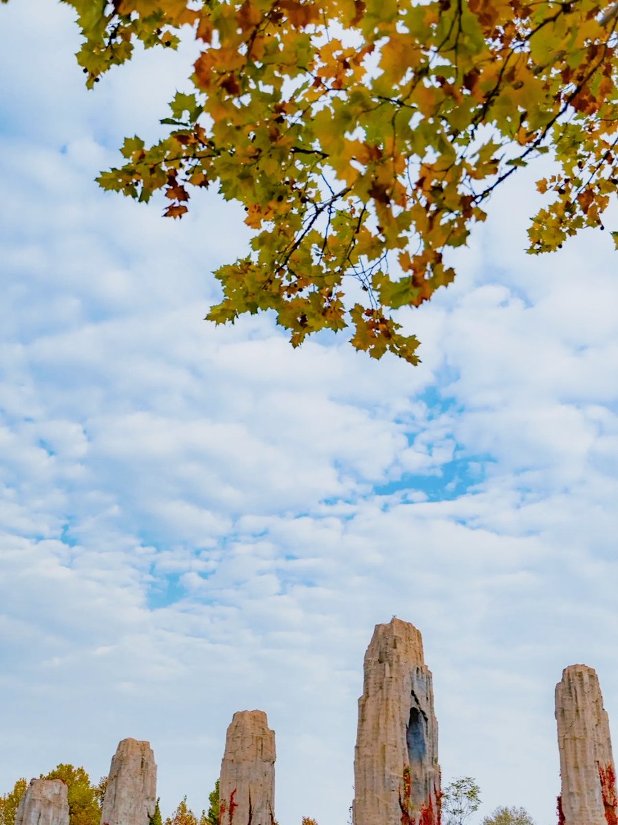 Jan Osterhuis tweet media