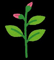 Kenny Taurus Jr. tweet media