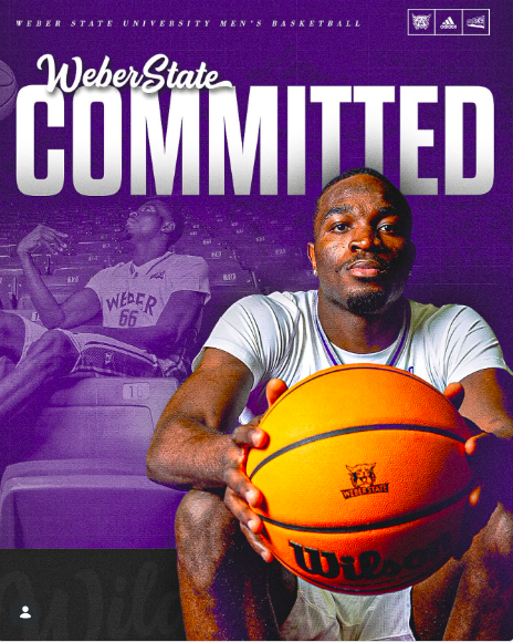 Basketball Recruitment tweet media