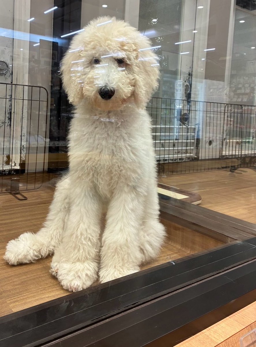 🍼リるだよオンライン tweet media