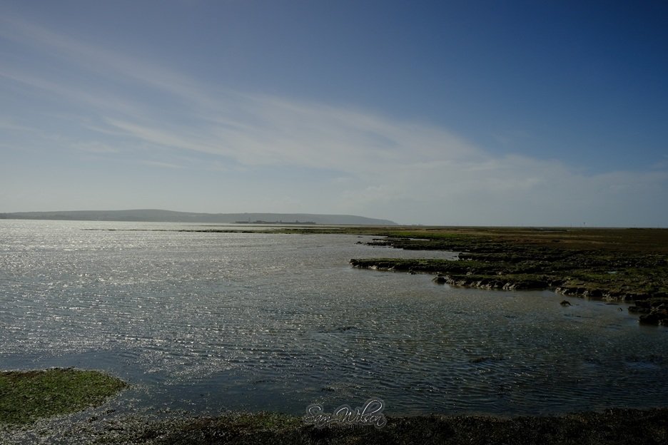 SamWlandscapes's tweet image. Blue skies on the coast last weekend #coastalphotography #Landscapes