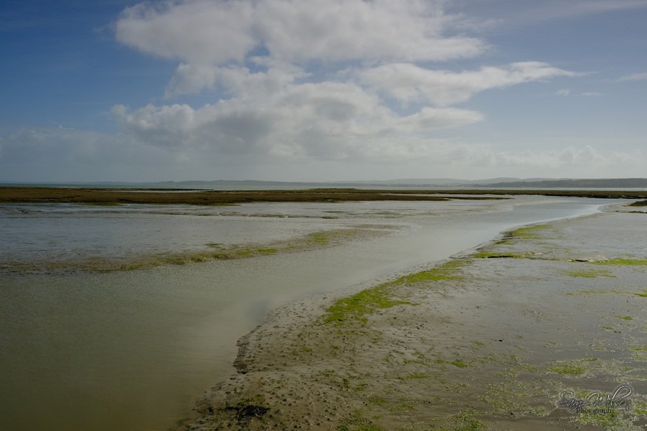 SamWlandscapes's tweet image. Blue skies on the coast last weekend #coastalphotography #Landscapes