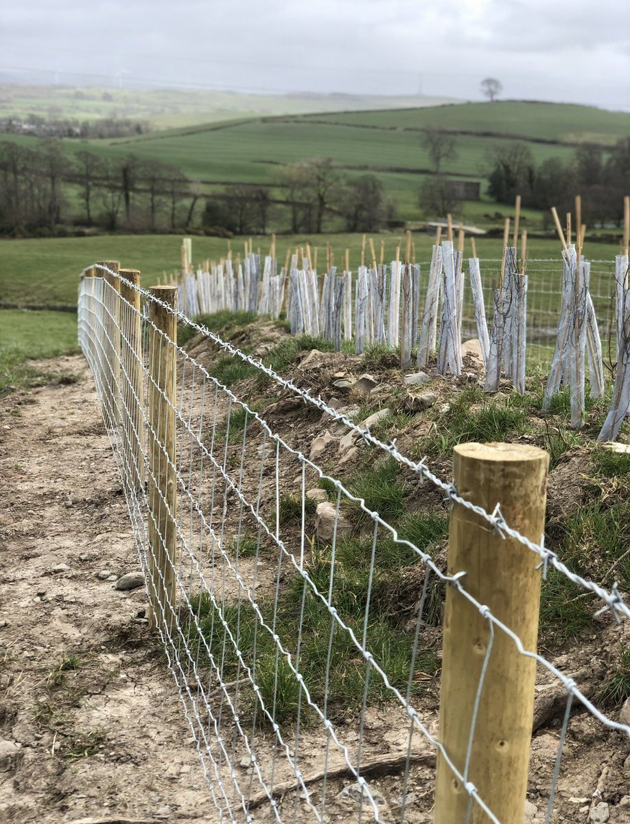 James Robinson tweet media