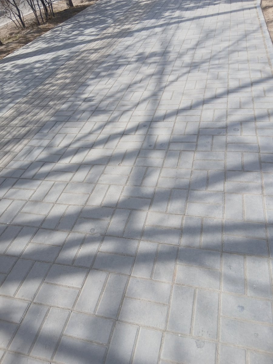 Maral Maralaa tweet media