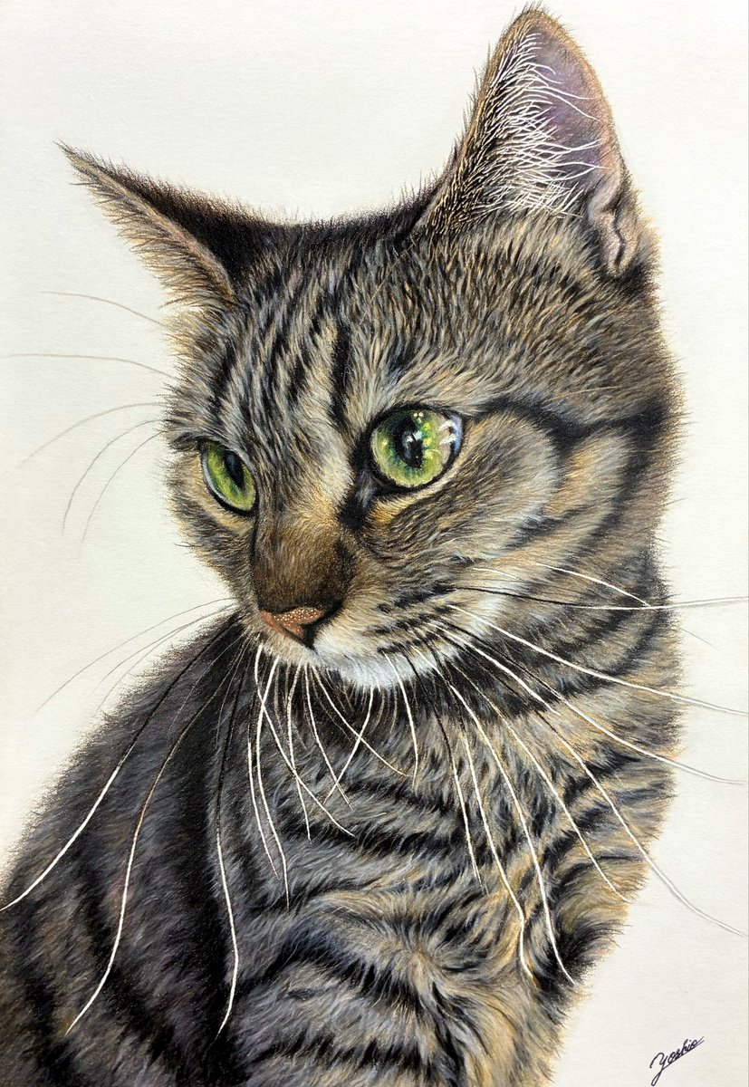 色鉛筆画