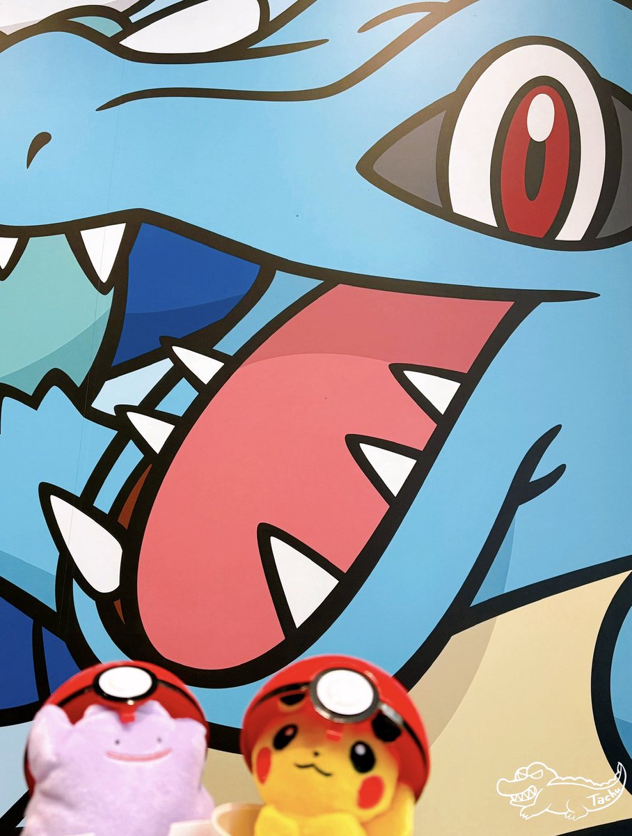 たちゅ🐊 tweet media