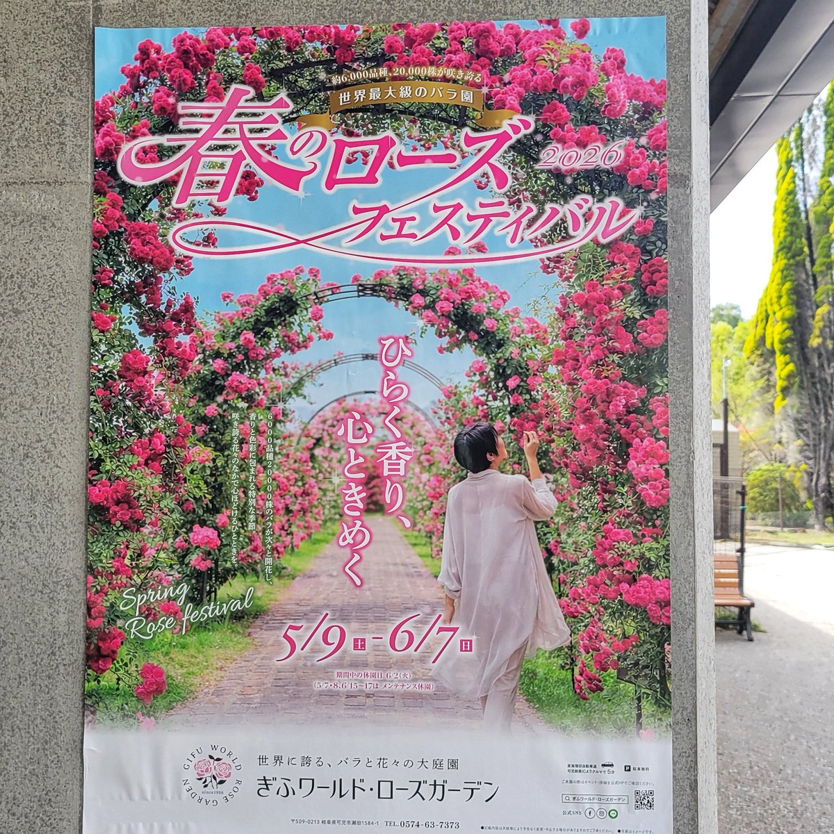 photo＠📷 tweet media