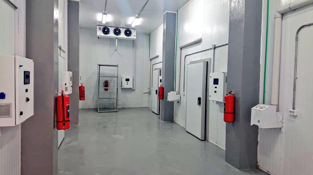 محمدشعیب tweet media