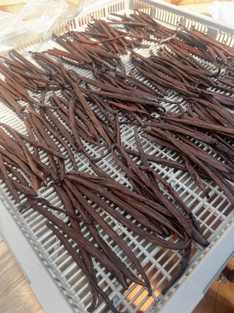 中島健吾/国産バニラ専門の農業ベンチャー代表 tweet media