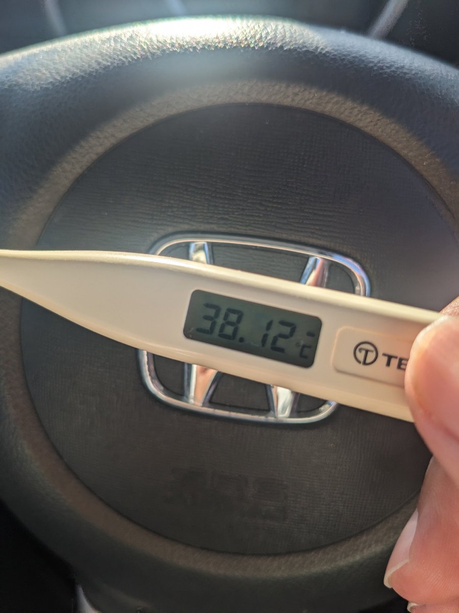 みどり【兎深みどり、MidoLive!!、みーちっち、みじじ、ミゴり】 tweet media