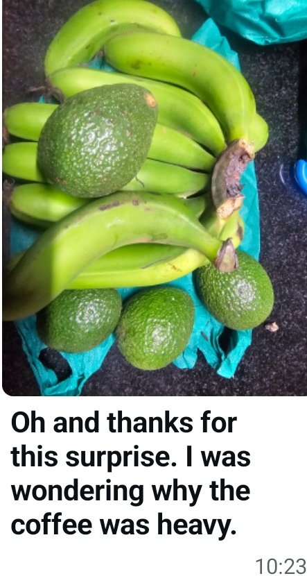 🇰🇪The Rustic Garden tweet media