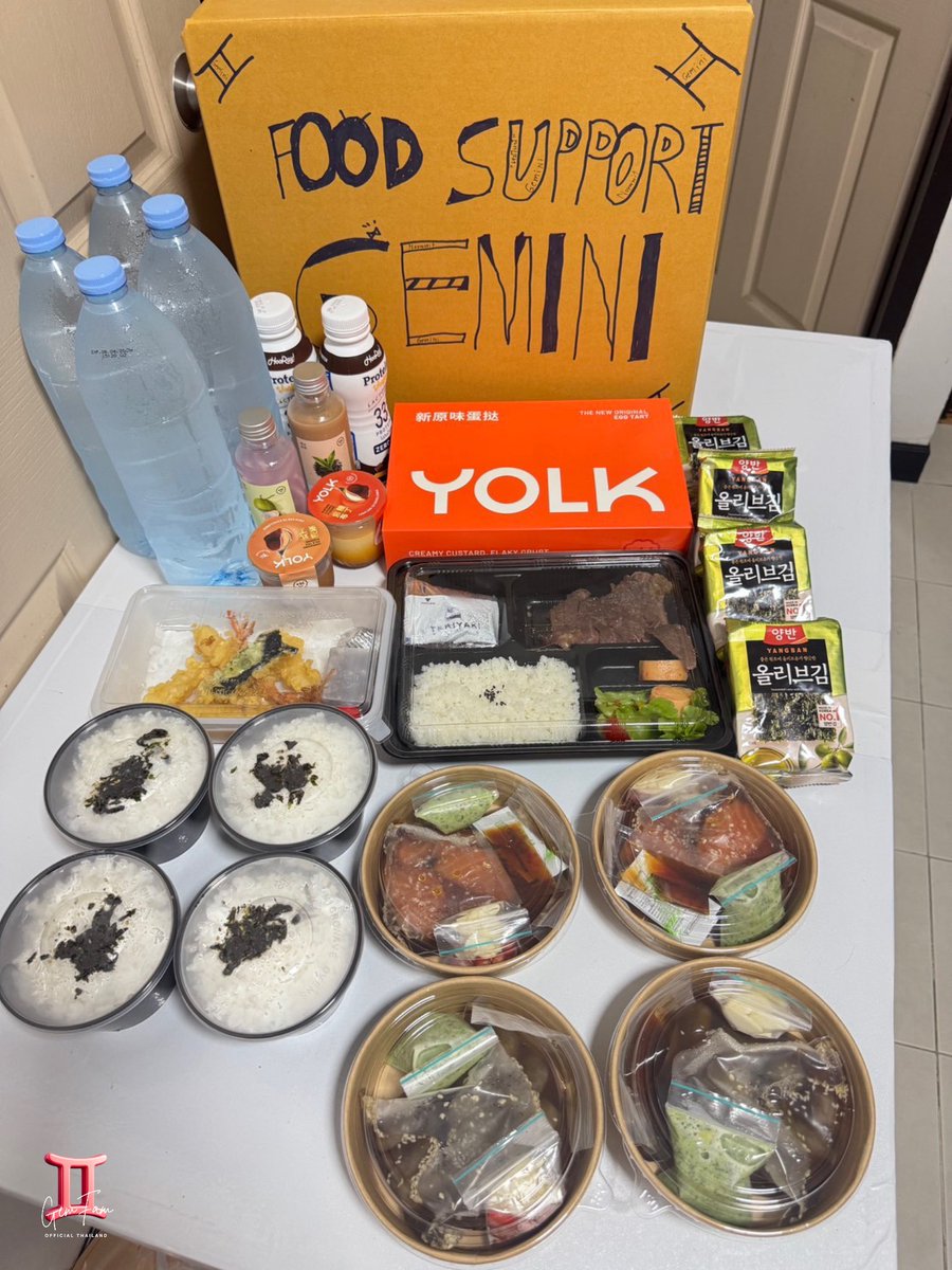 Geminint_Family tweet media