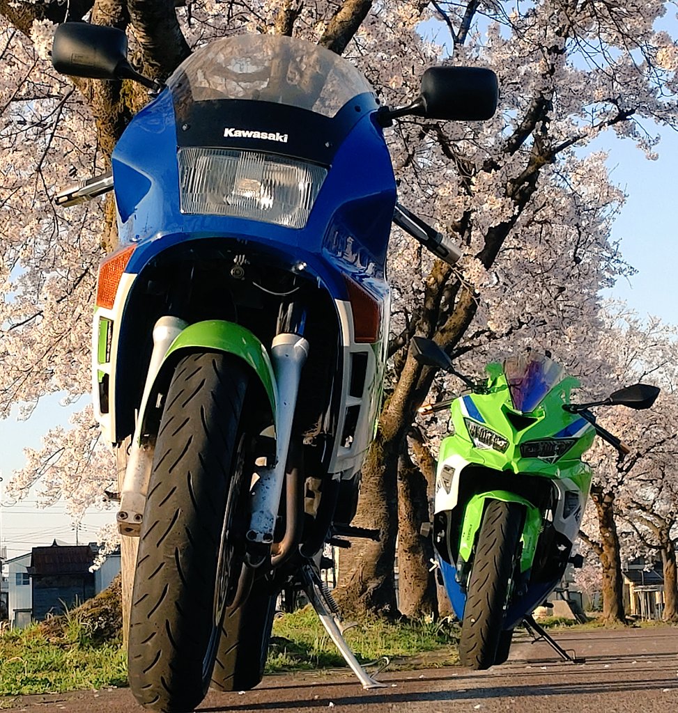 zx4f3's tweet photo. 桜の季節ももう終わりですね(・∀・)
#ZX4
#ZX4RR https://t.co/DWTdi3xy7s