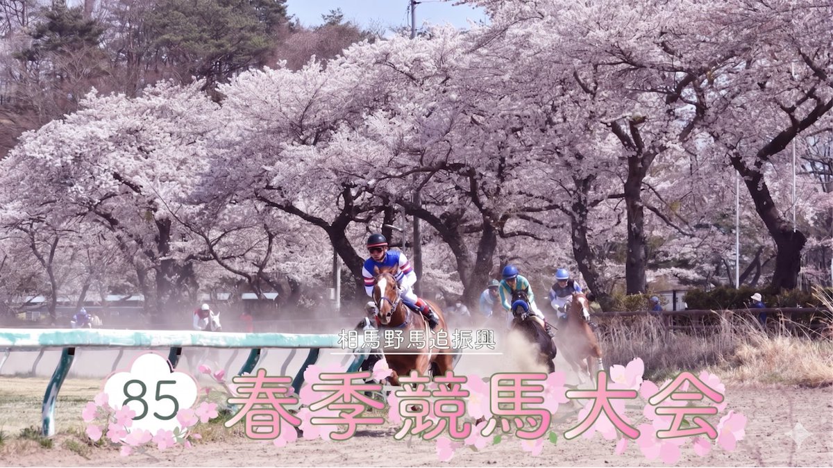 ＼公式発表／

第85回相馬野馬追振興春季競馬大会の出走人馬をこちらのツリーでご紹介します🐴
4月26日（日）開催
9:00　開会式、安全祈願
10:00　予選第１レース出走
（以降15分ごとに予選レース実施）
是非、推し馬、推しジョッキーの応援を宜しくお願いします🙇

 #相馬野馬追振興競馬
