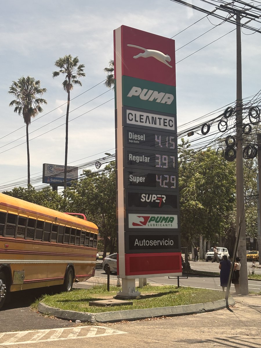 MAX RAHN tweet media