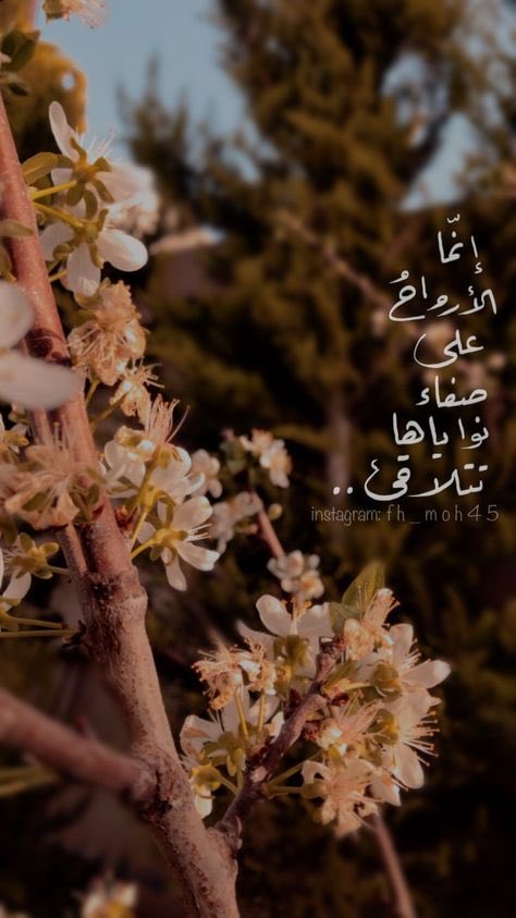 (شوق) tweet media